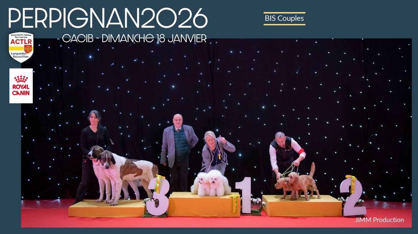INFORMATIONS SUR LA QUALITÉ DE MES BICHONS ET MES ENGAGEMENTS SUR LE BIEN ETRE
